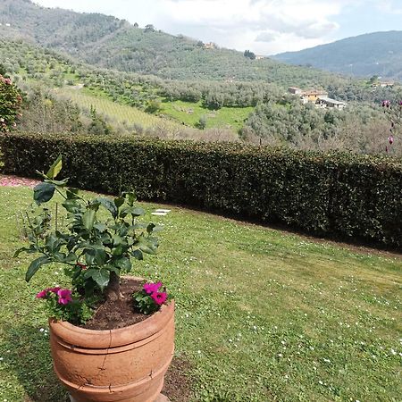 Villa Camelia Tuscany Pescia Esterno foto